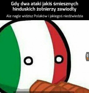 Mem,MonteCassino,MiśWojtek,Polacy,Polandball